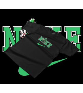 KIC Customs: Air Bud